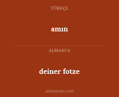 amın - deiner fotze