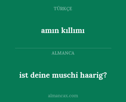 amın kıllımı - ist deine muschi haarig?