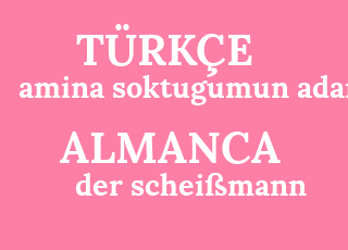 amina+soktugumun+adami-der+schei%C3%9Fmann.png