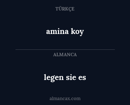 legen sie es - amina koy