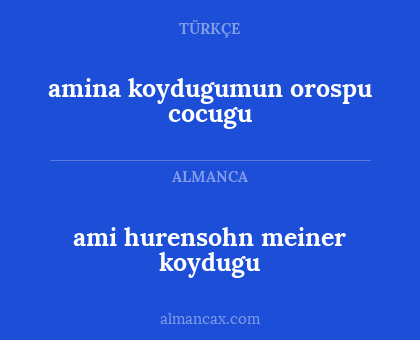 amina koydugumun orospu cocugu - ami hurensohn meiner koydugu