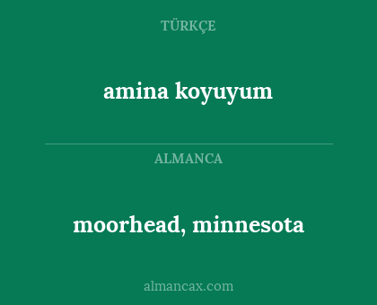 amina koyuyum - moorhead, minnesota