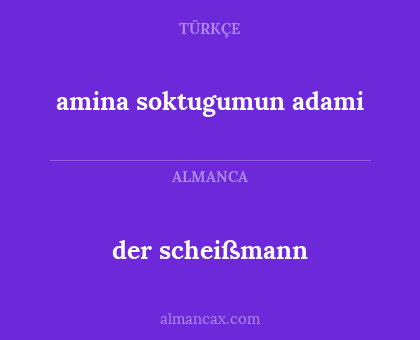 amina soktugumun adami - der scheißmann