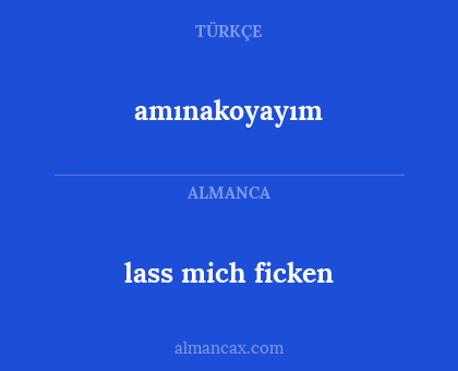 amınakoyayım - lass mich ficken