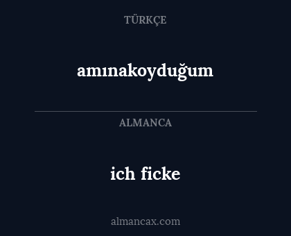 amınakoyduğum - ich ficke