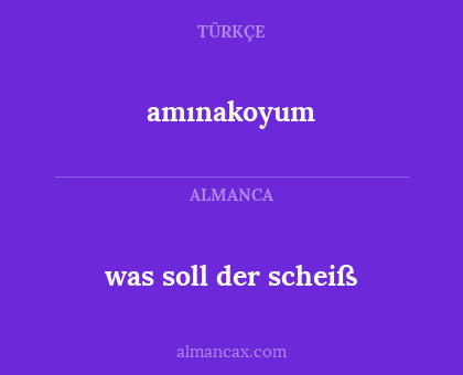 was soll der scheiß - amınakoyum