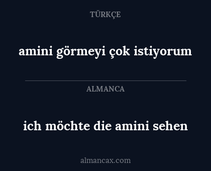 amini görmeyi çok istiyorum - ich möchte die amini sehen