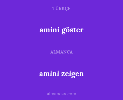 amini zeigen - amini göster