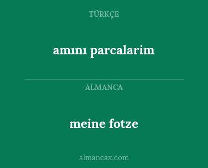 amını parcalarim - meine fotze