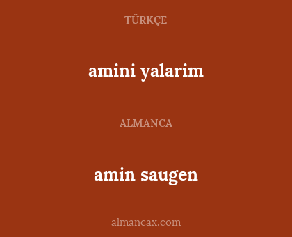 amin saugen - amini yalarim