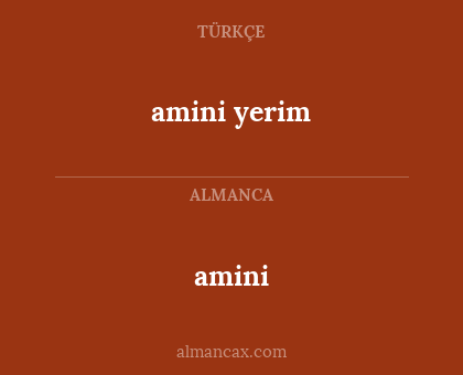 amini - amini yerim