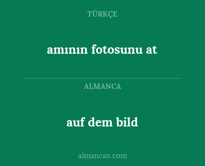 auf dem bild - amının fotosunu at
