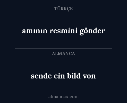 sende ein bild von - amının resmini gönder