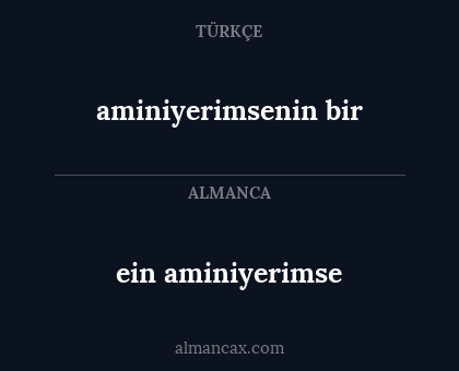 aminiyerimsenin bir - ein aminiyerimse
