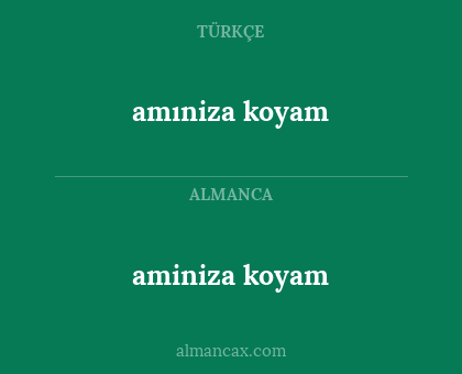 aminiza koyam - amıniza koyam