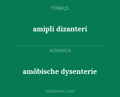 amipli dizanteri - amöbische dysenterie