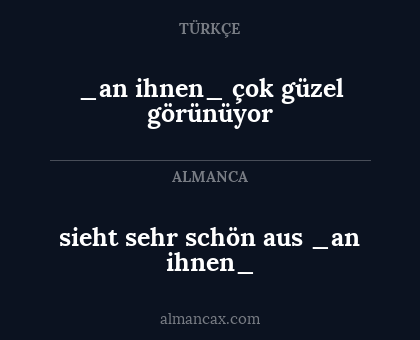 _an ihnen_ çok güzel görünüyor - sieht sehr schön aus _an ihnen_