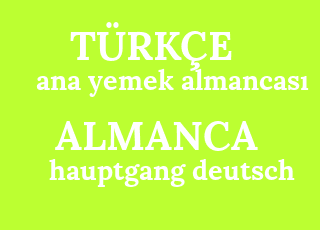 ana+yemek+almancas%C4%B1-hauptgang+deutsch.png