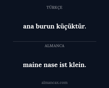maine nase ist klein. - ana burun küçüktür.