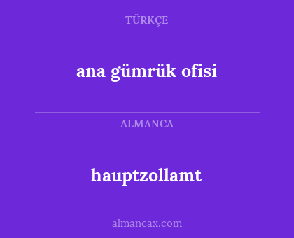 ana gümrük ofisi - hauptzollamt