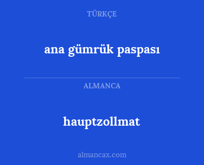 hauptzollmat - ana gümrük paspası