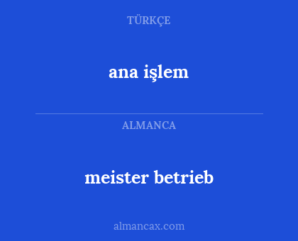ana işlem - meister betrieb
