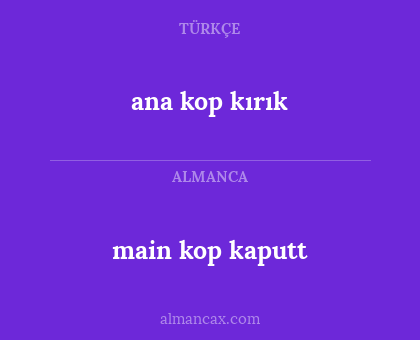 main kop kaputt - ana kop kırık