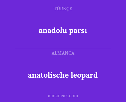 anadolu parsı - anatolische leopard