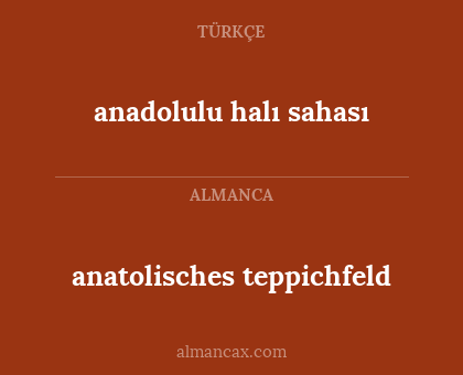 anadolulu halı sahası - anatolisches teppichfeld