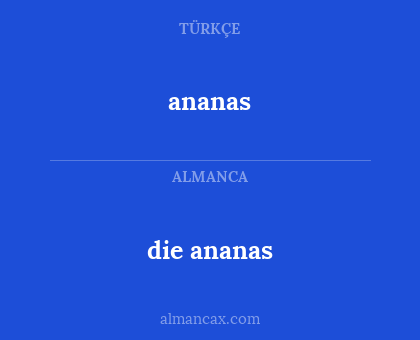ananas - die ananas