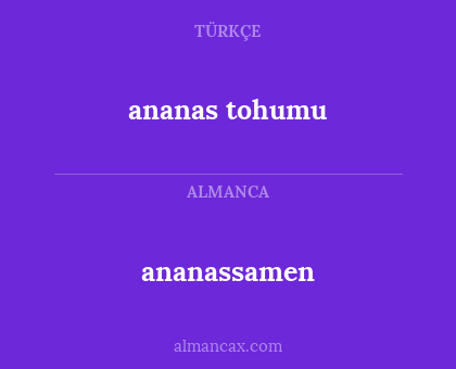 ananassamen - ananas tohumu