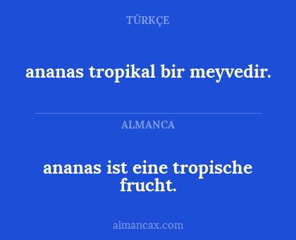 ananas ist eine tropische frucht. - ananas tropikal bir meyvedir.