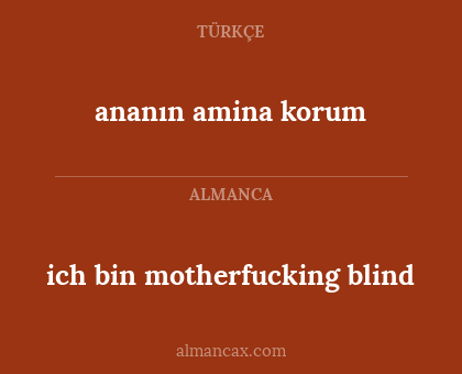 ananın amina korum - ich bin motherfucking blind