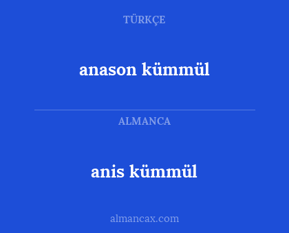 anason kümmül - anis kümmül