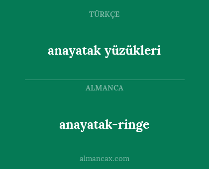 anayatak yüzükleri - anayatak-ringe