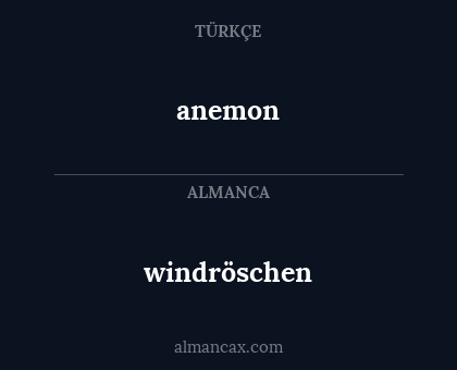 windröschen - anemon