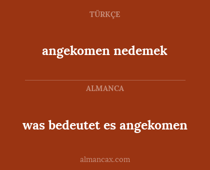 angekomen nedemek - was bedeutet es angekomen