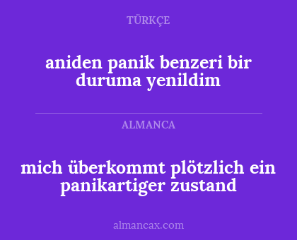 mich überkommt plötzlich ein panikartiger zustand - aniden panik benzeri bir duruma yenildim