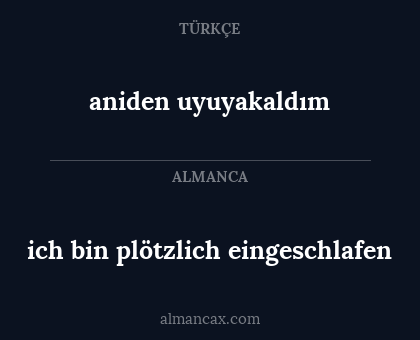 aniden uyuyakaldım - ich bin plötzlich eingeschlafen