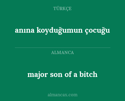 major son of a bitch - anına koyduğumun çocuğu