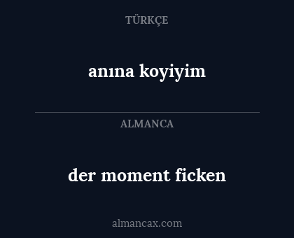 anına koyiyim - der moment ficken
