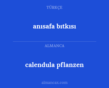 anısafa bıtkısı - calendula pflanzen