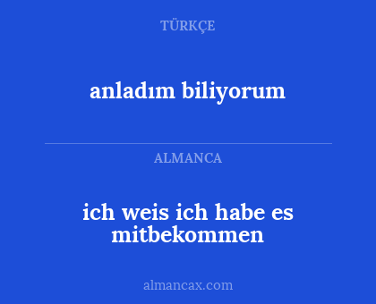 ich weis ich habe es mitbekommen - anladım biliyorum