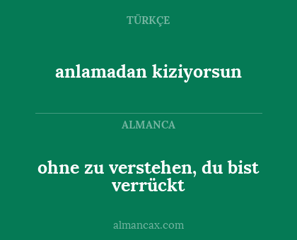 ohne zu verstehen, du bist verrückt - anlamadan kiziyorsun