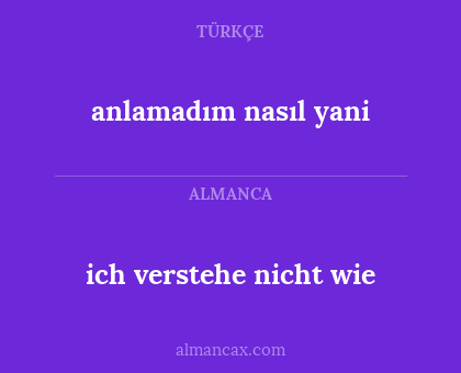 ich verstehe nicht wie - anlamadım nasıl yani