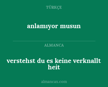 verstehst du es keine verknallt heit - anlamıyor musun