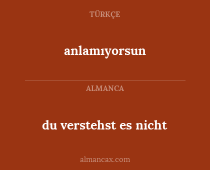 anlamıyorsun - du verstehst es nicht