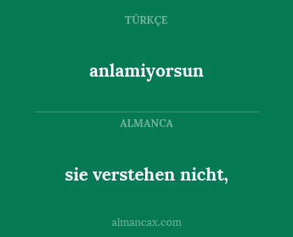 sie verstehen nicht, - anlamiyorsun