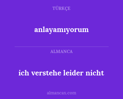 ich verstehe leider nicht - anlayamıyorum