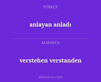 verstehen verstanden - anlayan anladı